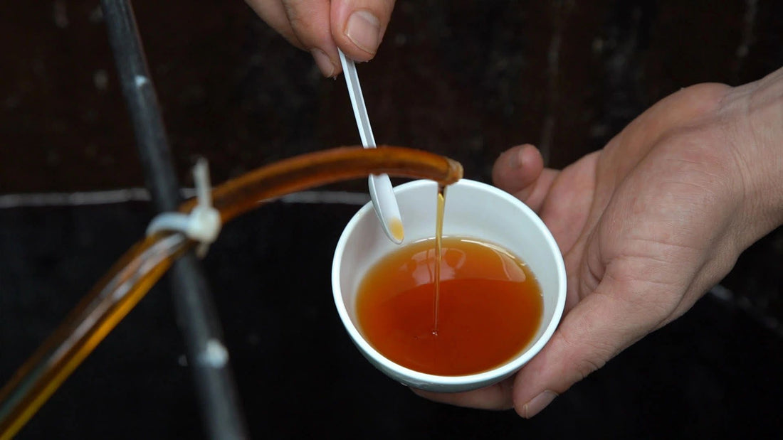 What Fish is in Worcestershire Sauce? Decoding the Tangy Mystery