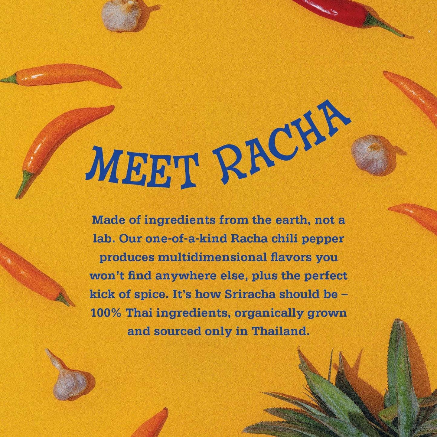 Racha Organics - MEDIUM Sriracha Sauce - USDA Certified Organic Hot Sauce 10Oz (284 G) Easy Squeeze Bottle & Racha Organics - MILD Sriracha Sauce - USDA Certified Organic Hot Sauce 10Oz (284 G)