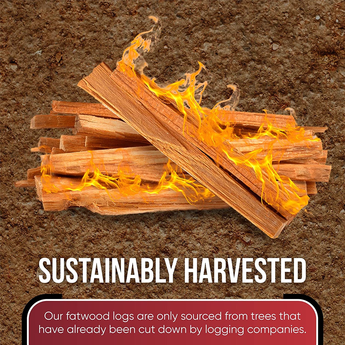 Vivlly 10Lb Fatwood Fire Starter Pack – Starter Wood for Fireplace – Small Wood Logs for Campfire Stove, Grilling & Cooking – Firewood Lighter Kindling Sticks – Firepit Burning & Camping Accessories