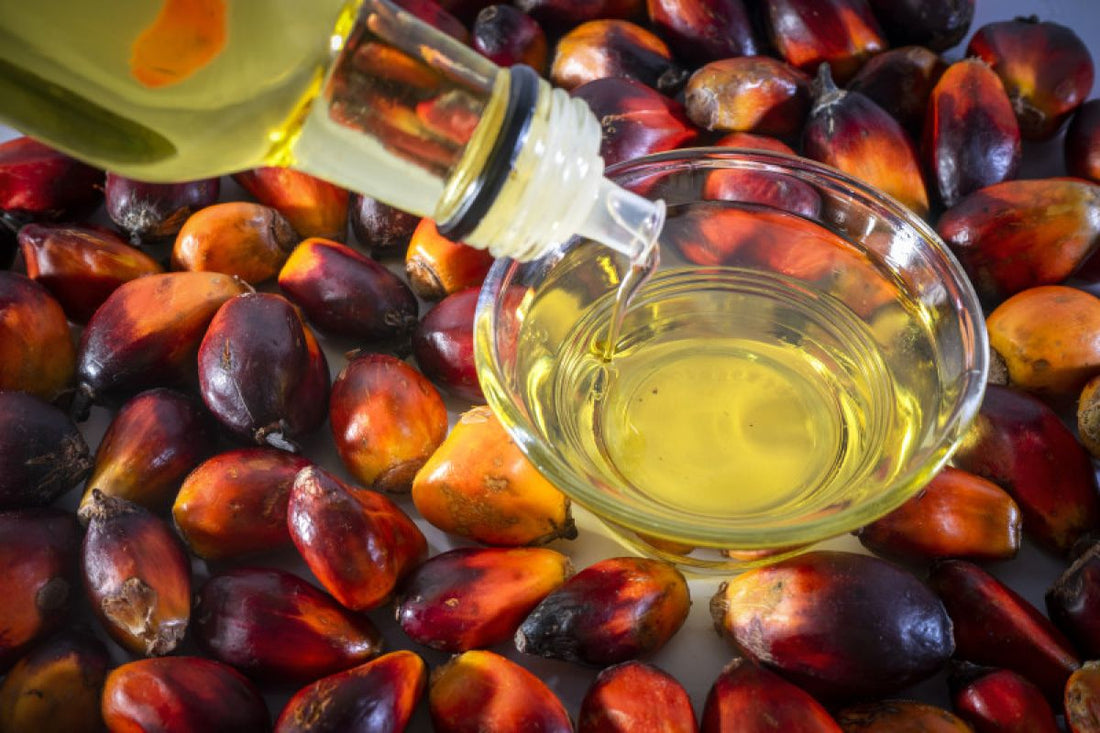 7 Effective Tips to Get High Quality Palm Oil for Your BBQ