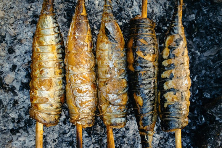 Delicious and Easy: How to Cook Bonito Fish Fillet – grilling4all