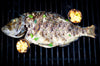 How to Cook Striper Fish in the Oven: A Delicious Guide for Barbecue Enthusiasts