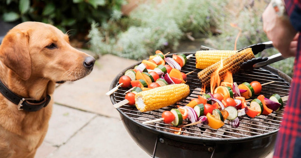 How Long Will Charcoal Burn in a Grill? Tips and Tricks for Longer Burns