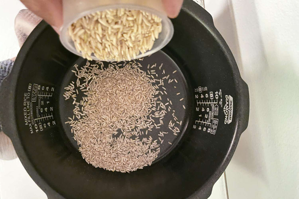 Perfectly Cooked Salmon in a Rice Cooker for BBQ Enthusiasts