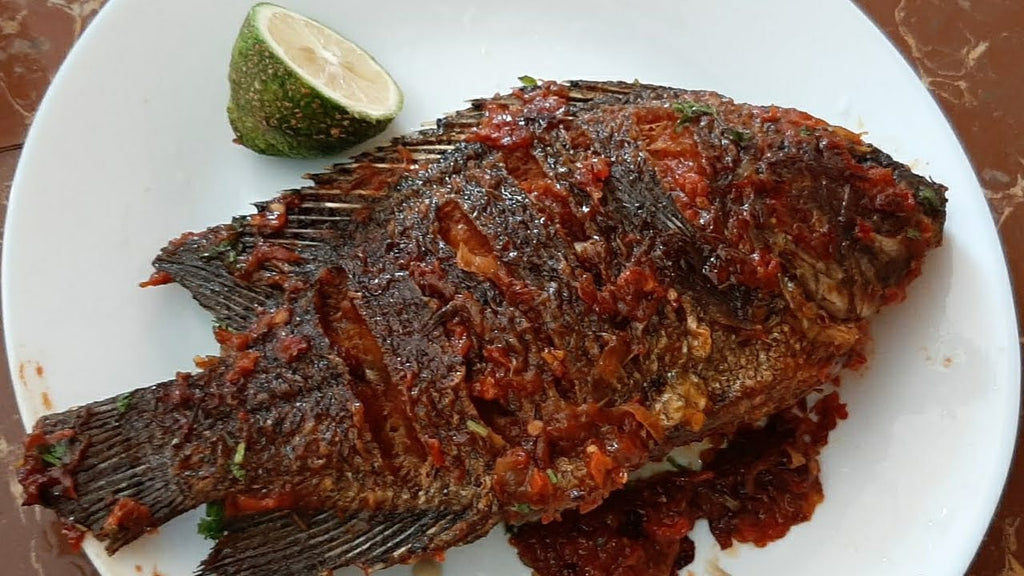 The Ultimate Guide on How to Cook Fish for Diabetes: Delicious and Healthy Recipes