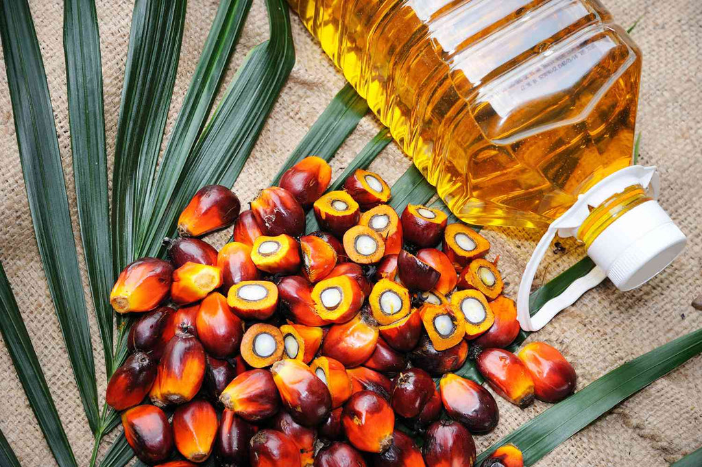 Top 10 Facts About Sustainable Palm Oil: A Critical Guide for Barbecue Enthusiasts