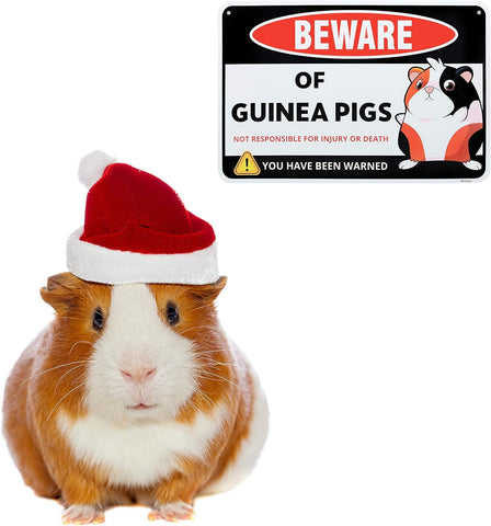 Image of Guinea Pig Sign Decor - 8 X 12 Inches - Aluminum - Guinea Pig Gifts for Guinea Pig Lovers - Cage Accessories Toys Stickers Stuff