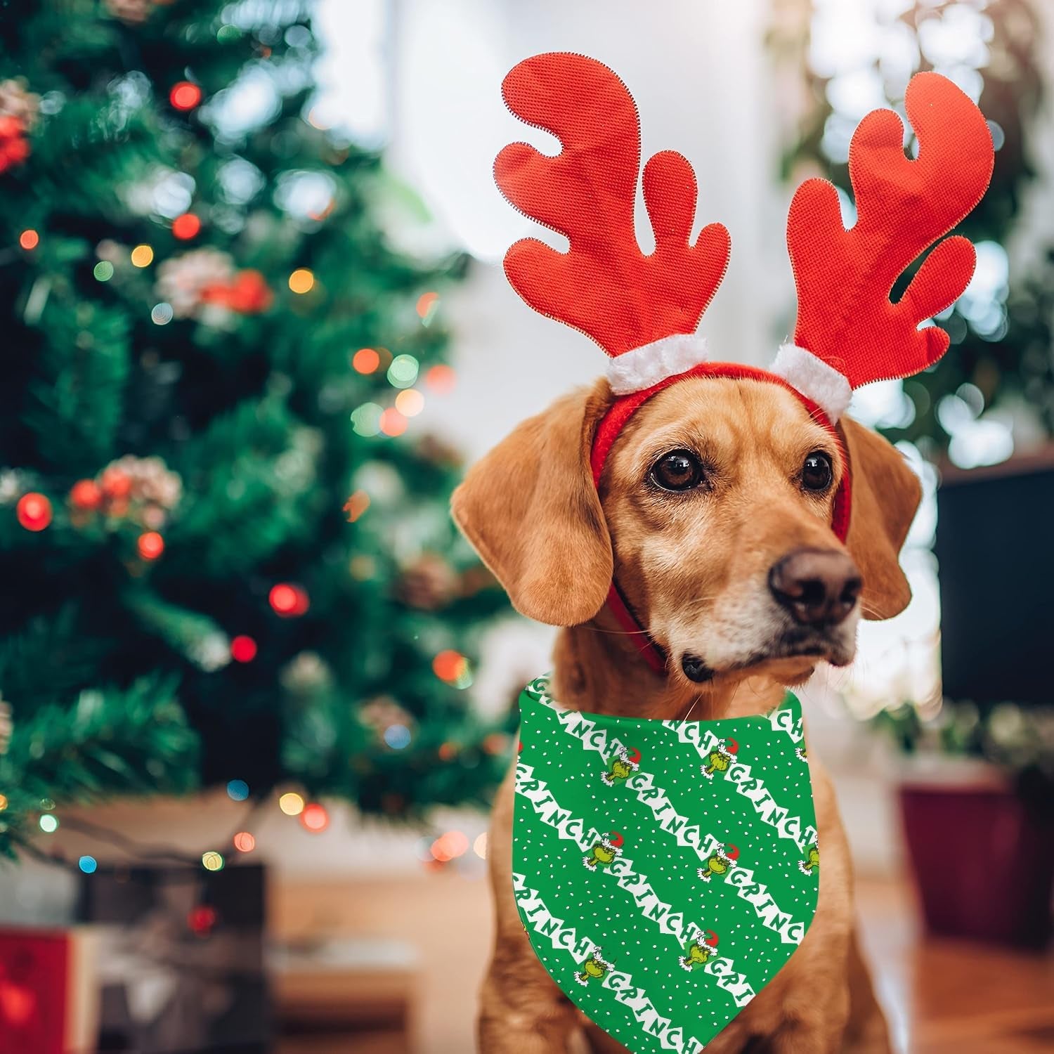 Christmas Dog Bandanas, Double Sided 2 Pack Holiday New Year Puppy Bandanas, Girnch Smile Square Dog Kerchief Merry Christmas Dogs Gifts (05)