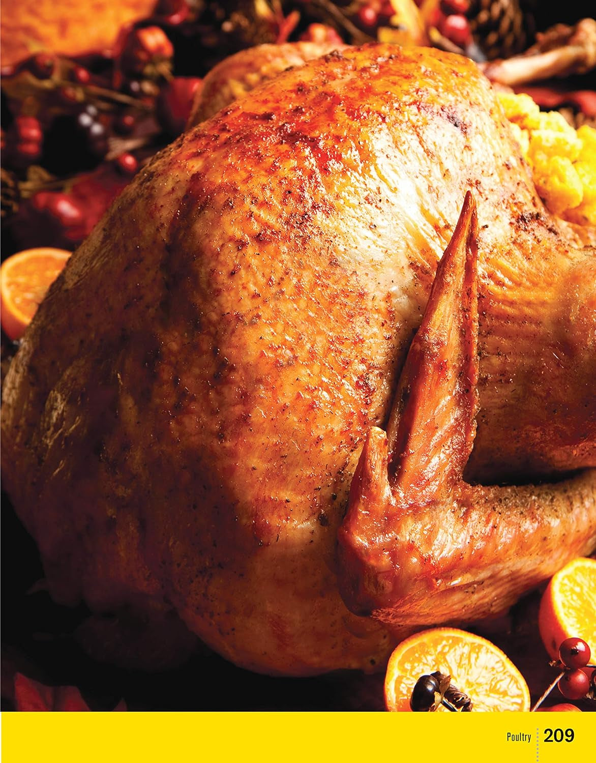 Char-Broil Great Book of Grilling: 300 Tasty Recipes for Every Meal: Delicious Appetizers, Meat, Veggies & More (Creative Homeowner) over 300 Mouthwatering Photos & Easy-To-Make Recipes for Your Grill