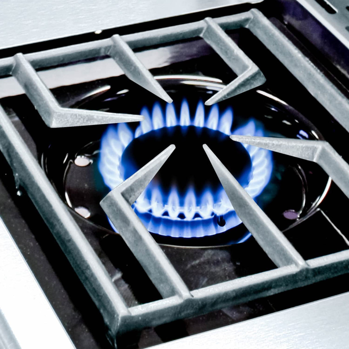 Regal S 590 Pro Natural Gas Grill - Premium 5-Burner Stainless Steel BBQ