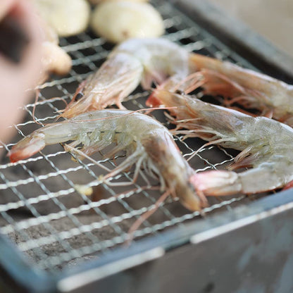 Joyray Grill Rack Grids, Stainless Steel BBQ Roasting Rack or Baking/Cooling Rack, for Oven and Outdoor Barbeque,Oven & Dishwasher Safe.