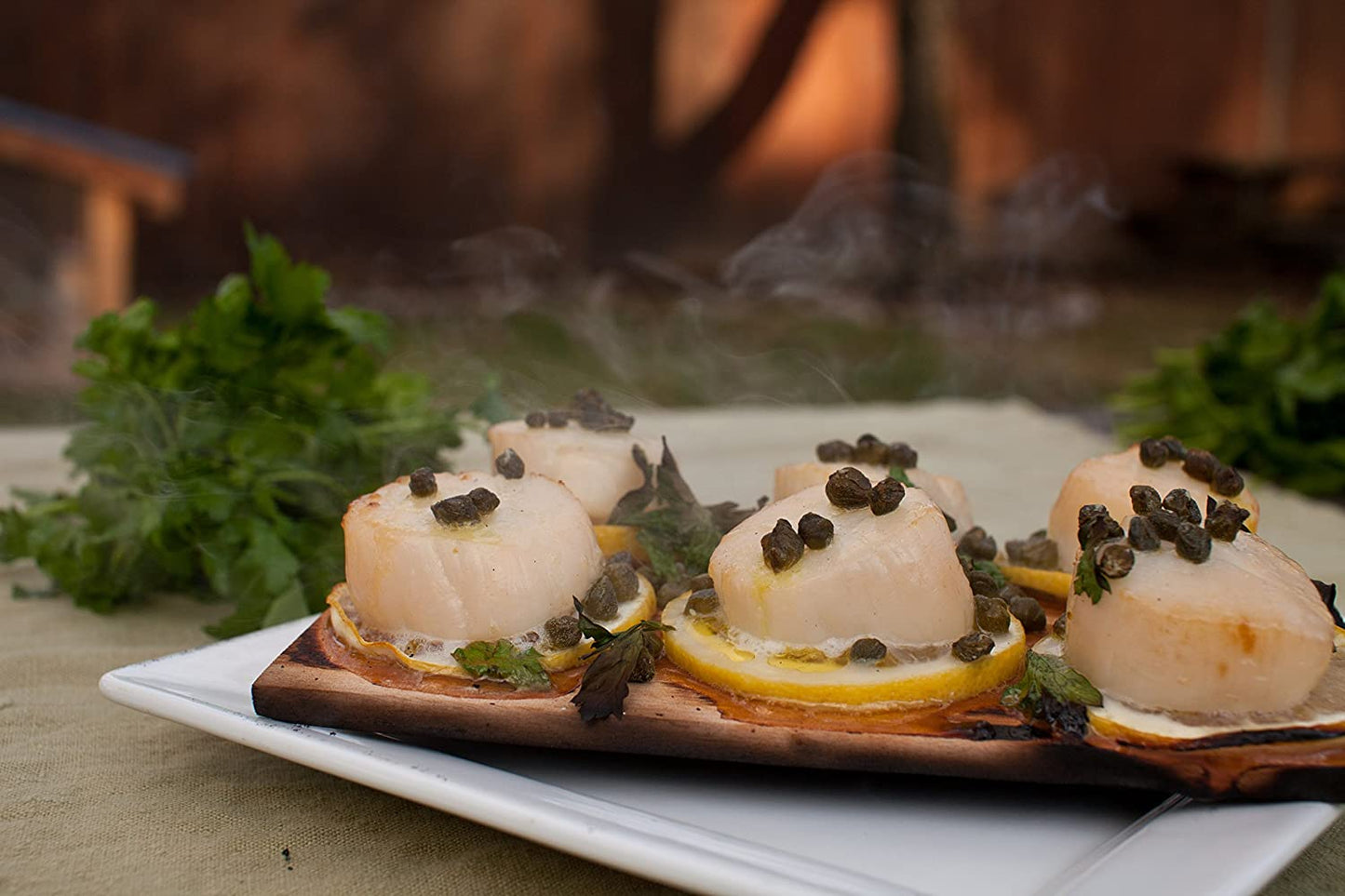 Alder Grilling Planks - 5X11 30 Pack for Salmon, Fish, Seafood & More