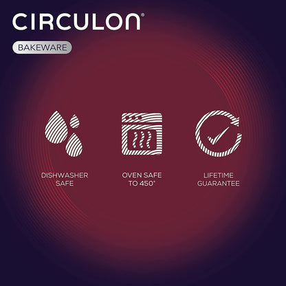 Circulon Nonstick Roasting Pan / Roaster with Rack - 17 Inch X 13 Inch, Gray