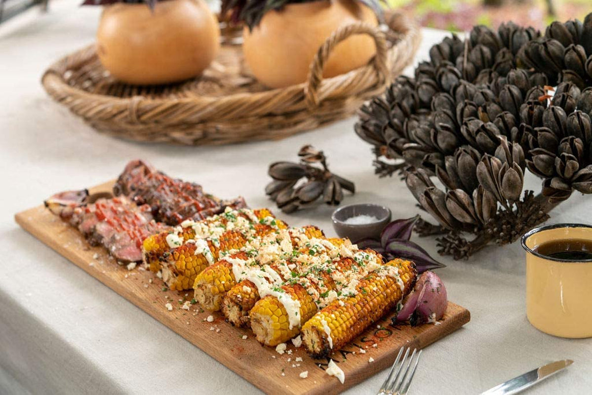 Megamaster Premium Outdoor Cooking 2-Burner Grill, While Camping, Outdoor Kitchen, Patio Garden, Barbecue with Two Foldable Legs, Silver in Stainless Steel