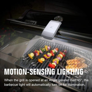 Grill Lighting LED Barbecue Handle Grill 'N Go Light, Fits Current Spirit, Genesis and Summit Grills Gift Grey