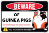 Guinea Pig Sign Decor - 8 X 12 Inches - Aluminum - Guinea Pig Gifts for Guinea Pig Lovers - Cage Accessories Toys Stickers Stuff