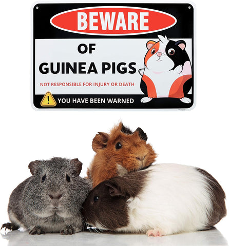 Image of Guinea Pig Sign Decor - 8 X 12 Inches - Aluminum - Guinea Pig Gifts for Guinea Pig Lovers - Cage Accessories Toys Stickers Stuff