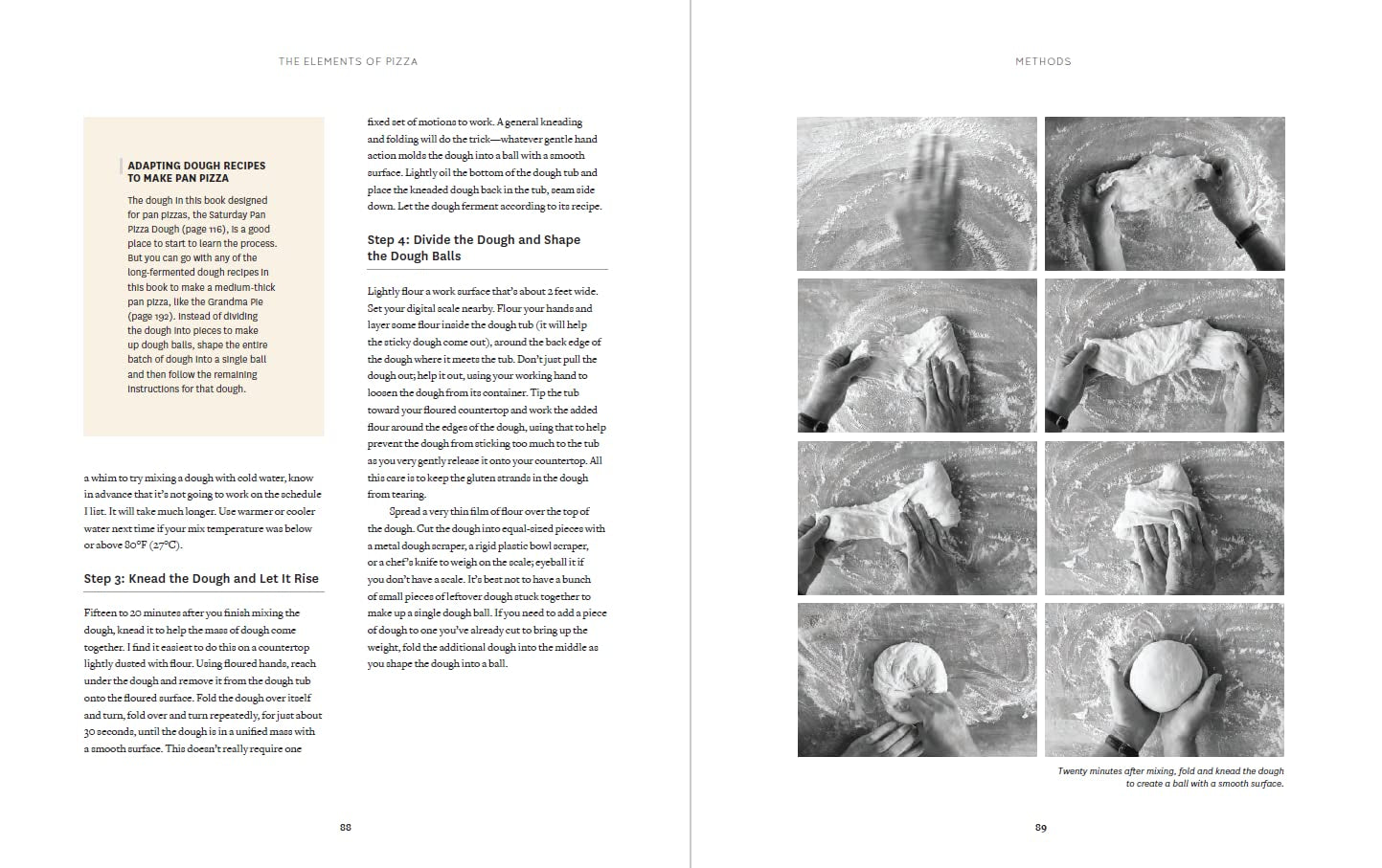 The Elements of Pizza: Unlocking the Secrets to World-Class Pies at Home [A Cookbook]